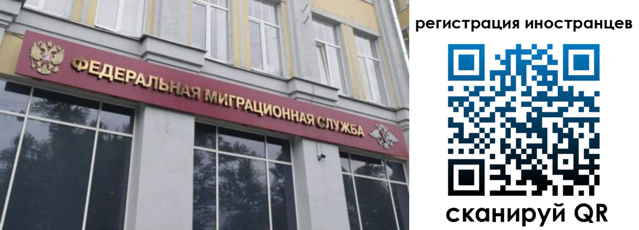 пропишу в квартире в Коле